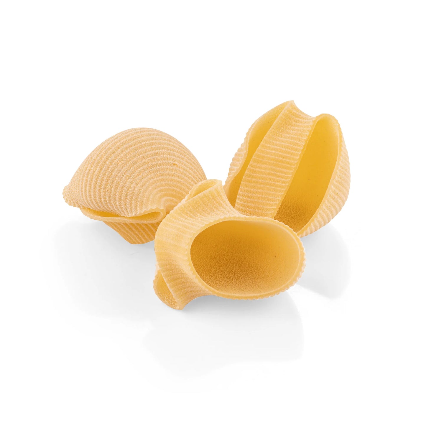 The Gragnano Pasta Factory Lumaconi PGI