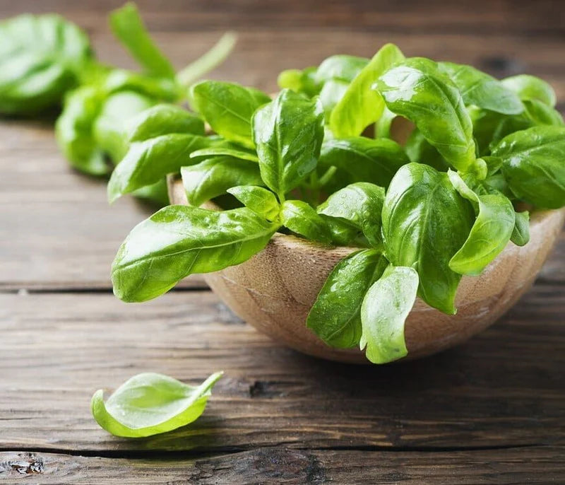Organic Basil Pesto