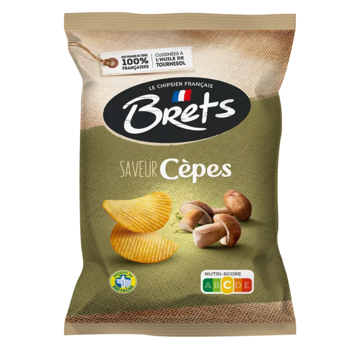 Porcini Mushroom Chips