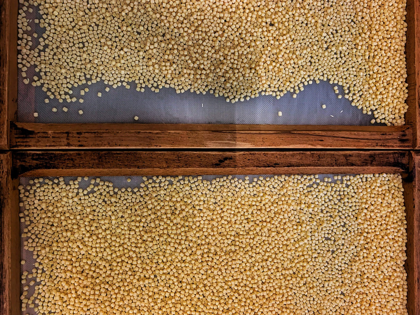 Fregola