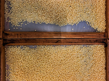 Fregola