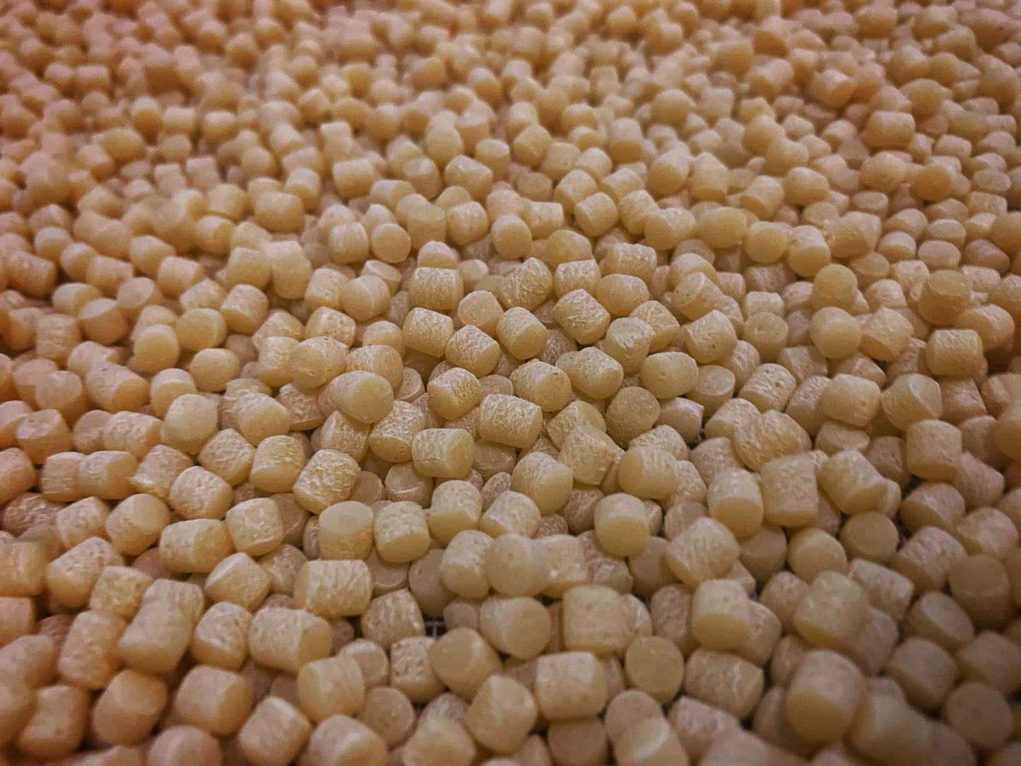 Fregola