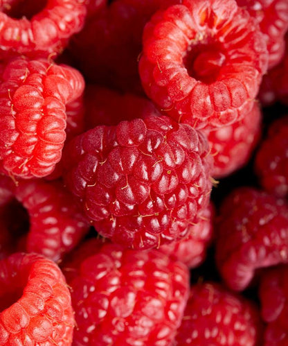 Maravilla Raspberry Preserve